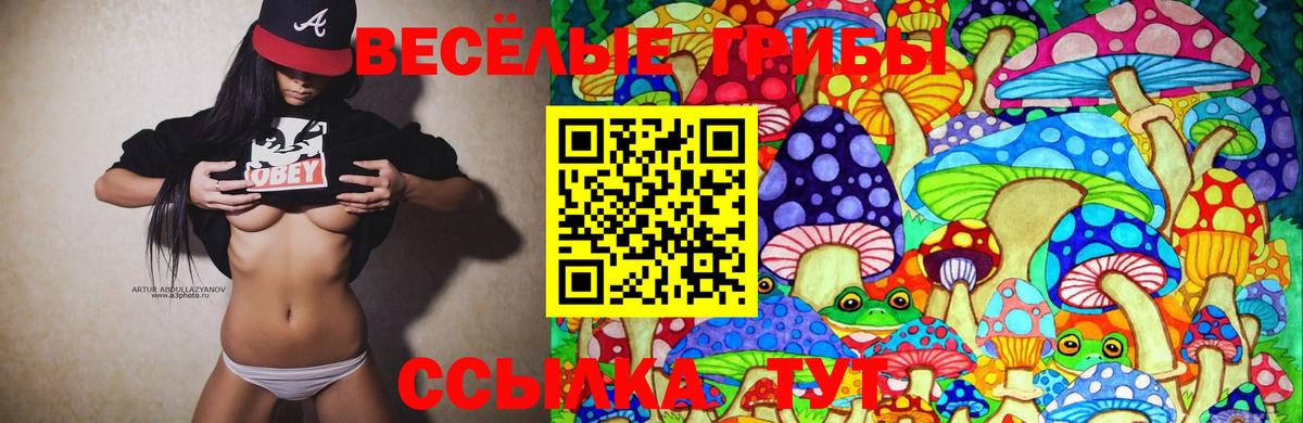 Псилоцибиновые грибы MAGIC MUSHROOMS Алейск