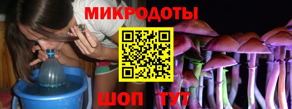 Алейск  Псилоцибиновые грибы GOLDEN TEACHER  Вход с VPN  Галлюциногенные грибы Cubensis 